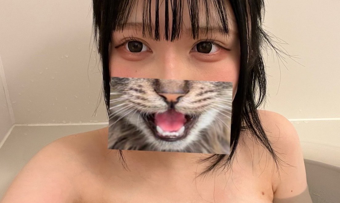 tzsto's tweet photo. あやの見たい人DMきて！
実績もあるからちゃんと送るよ！ https://t.co/p7JCLuohjM