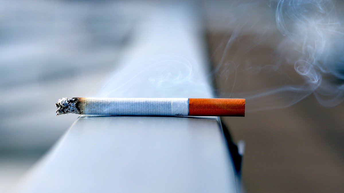 AgenciaFAPESP's tweet photo. Exposição passiva à fumaça do #cigarro nos primeiros dias de vida pode provocar alterações na mineralização do #esmaltedentário, mesmo sem causar mudanças visíveis nos #dentes. É o que mostra um estudo em modelo animal realizado por pesquisadores da #USP. https://t.co/UubOBlLofJ https://t.co/rLonl59Hzl