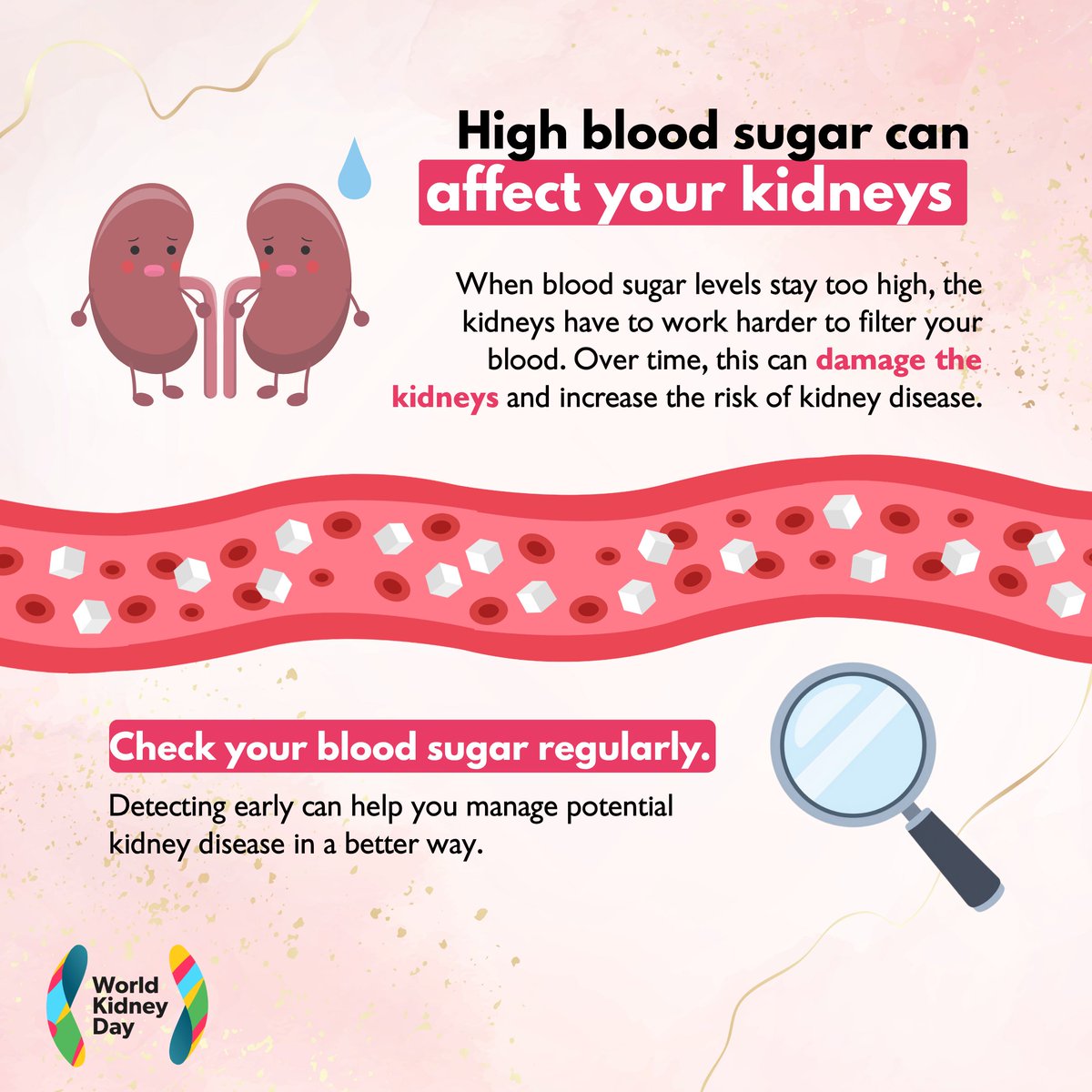 worldkidneyday's tweet photo. 🩸 Looking after your blood sugar is also part of looking after your kidneys.

Many people with diabetes do not know they have it. Checking your blood sugar can help you understand your health and identify problems earlier.
If you have diabetes, regular blood and urine tests can also help monitor your kidney health.

Learn more about the 8 golden rules to protect your kidney health: https://t.co/KPTHVvgF08

#WorldKidneyDay #KidneyHealthMatters