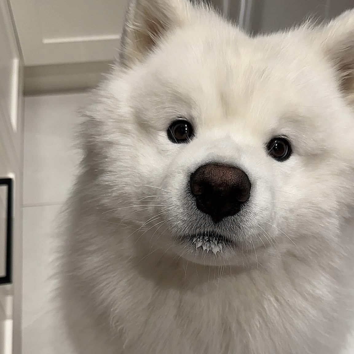smilemycute's tweet photo. น้องกายลูก https://t.co/o6aiBDS5zu