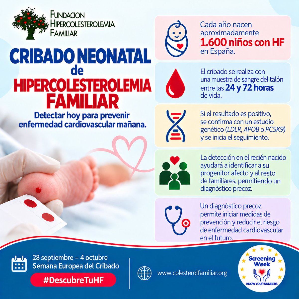 FHFamiliar's tweet photo. Semana Europea del Cribado: conoce tu #HF:
La #HF se transmite de padres a hijos con una probabilidad de heredarla del 50%. Un diagnóstico precoz puede marcar la diferencia en la salud de un niño:
https://t.co/lUoinprMSO
#DescubreTuHF #KnowYourNumbers #euscreeningweek https://t.co/dVl6ToXanI