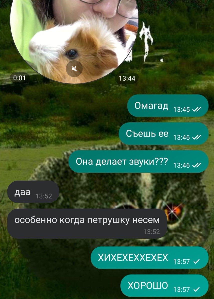 jooshizzo's tweet photo. Подруга работает в зоомагазине и у них там живет морская свинка. Сегодня она показала мне как та тихонько сидит на ручках и совершенно глупенько ничего не делает. 
Момент милости всем смотреть https://t.co/FYizcyV0K8