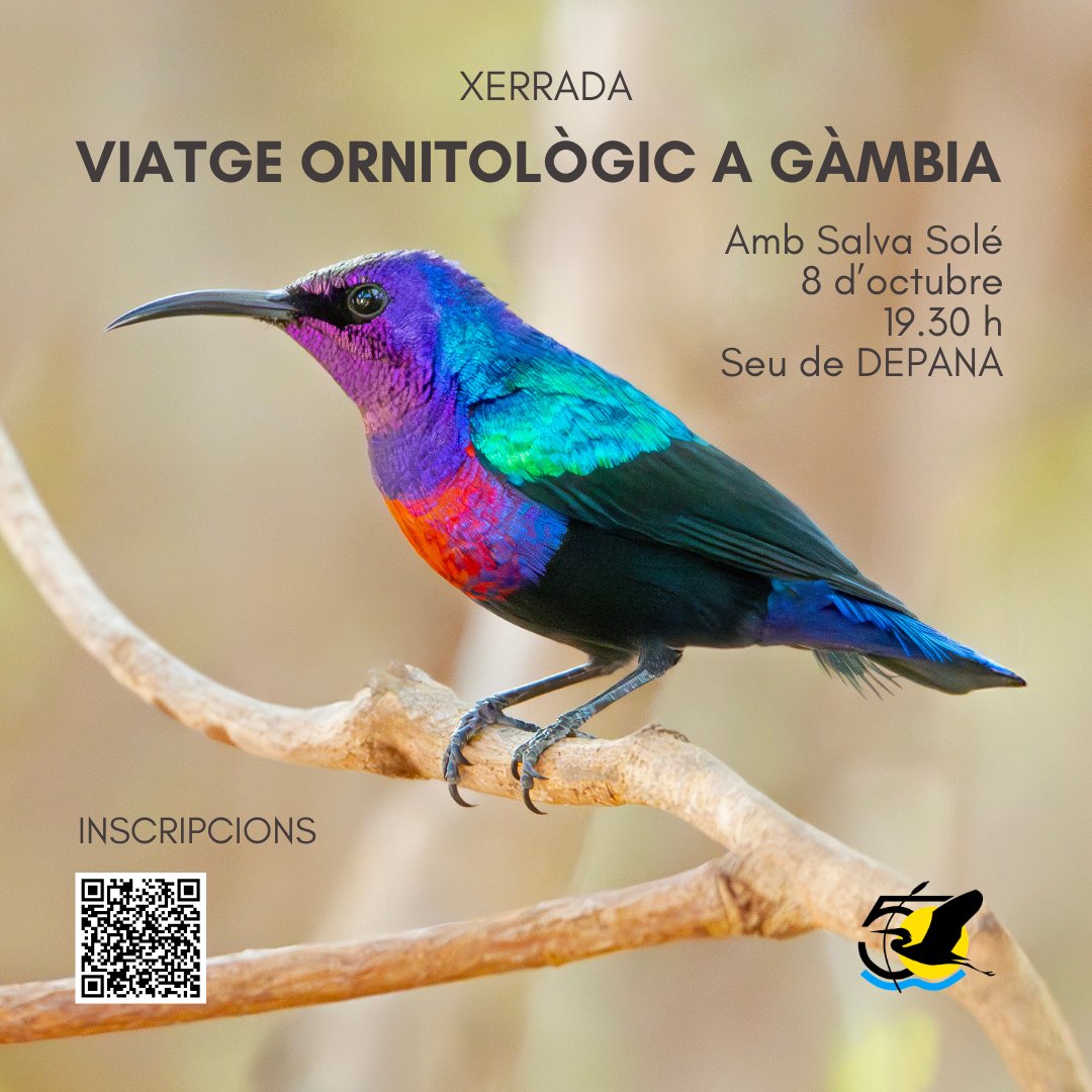 DEPANA's tweet photo. 🐦 Viatge ornitològic a Gàmbia

El proper dijous 8 d’octubre us proposem viatjar fins a Gàmbia de la mà de Salva Solé, que ens descobrirà l'avifauna del país a partir de la seva pròpia experiència allà. https://t.co/O1vxvPzvq7