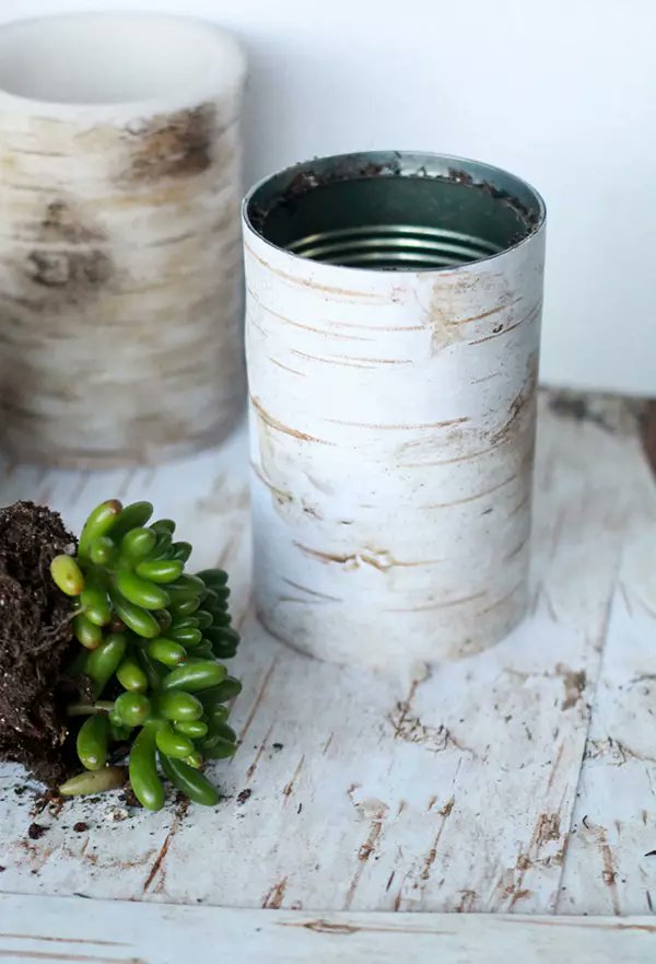 Johansenkhxnf's tweet photo. Antiguas latas de conserva se convierten en macetas de hierba aromática! Reciclar es fácil y bonito. https://t.co/22hD6F66eU