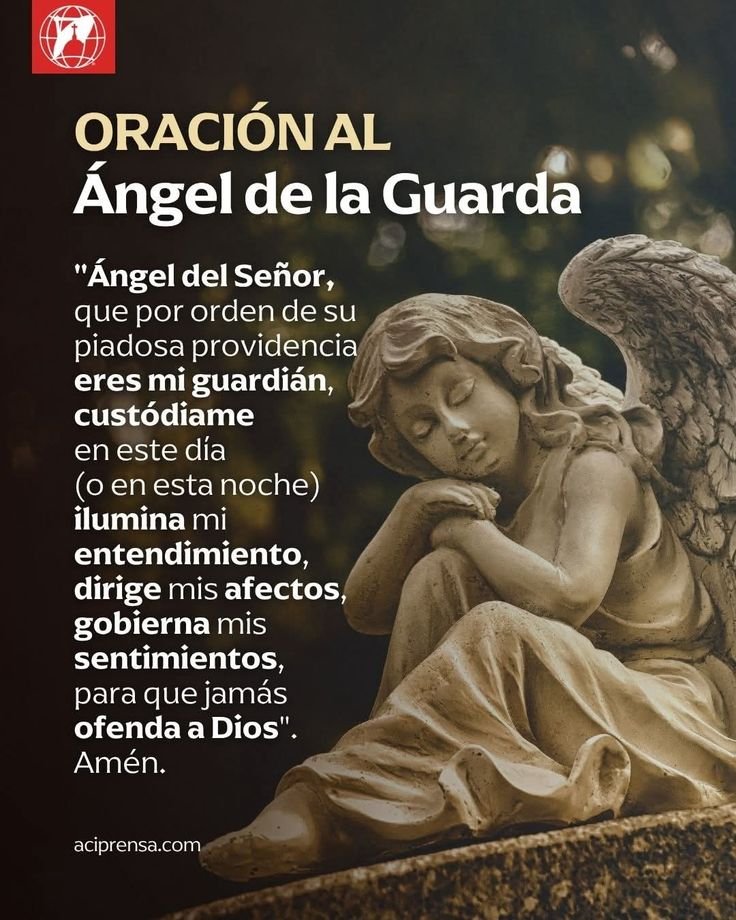 JuntosRecemos's tweet photo. https://t.co/8jiJD501Dq