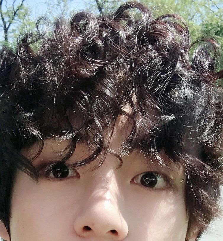 Taehyungimpact's tweet photo. Oh my god guys 😭 https://t.co/bAKjh0d59s