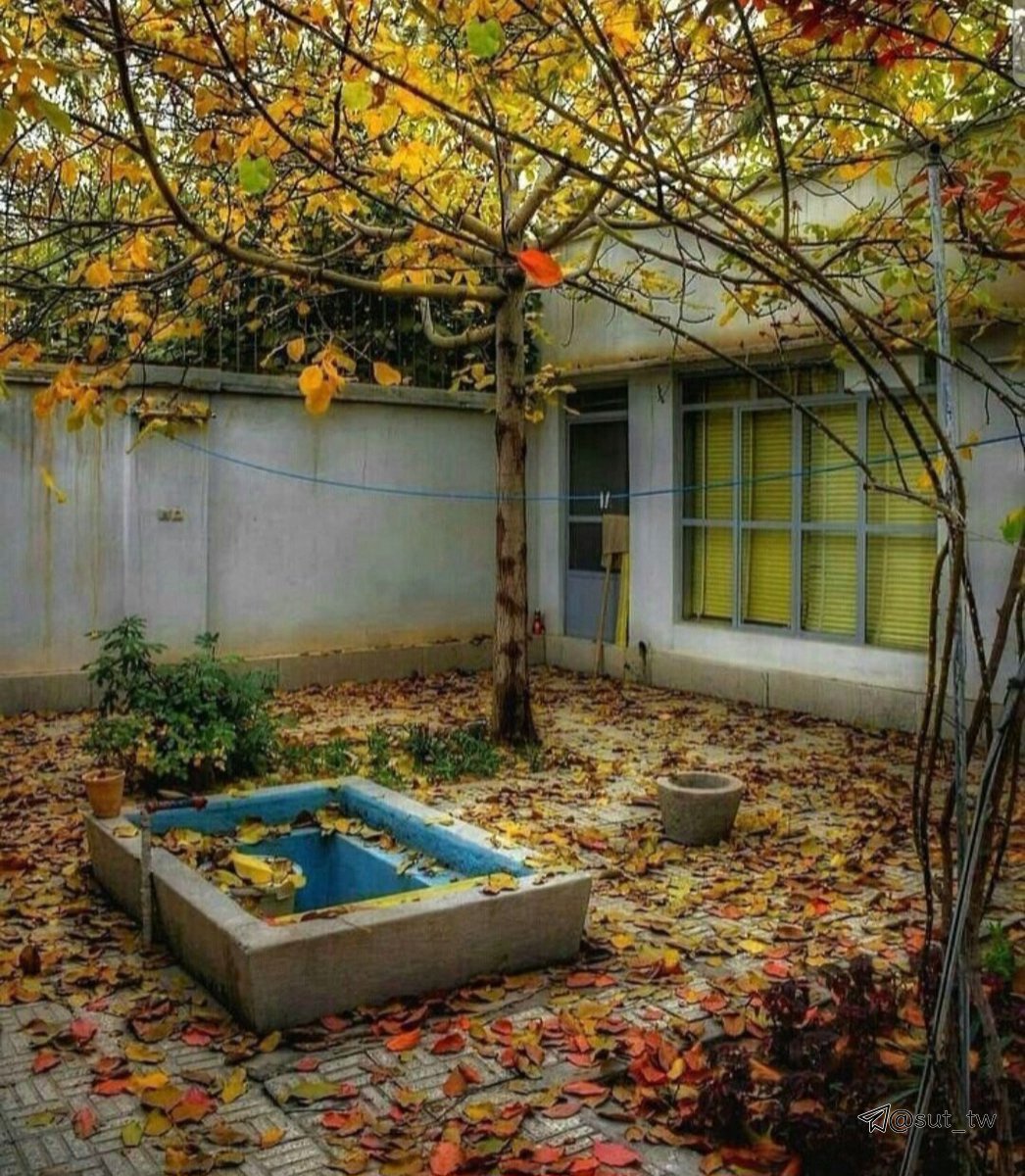 babakm1912a2510's tweet photo. حذف حیاط بدترین انتخاب ما بود برای حیات ... https://t.co/S21x5yIEju