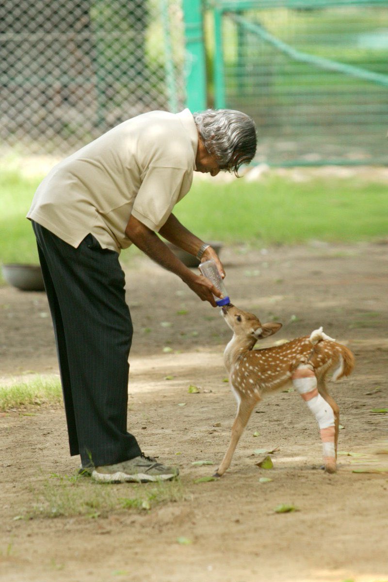 gaurravbhrdwj's tweet photo. Dr. A.P.J. Abdul Kalam never ate at Rashtrapati Bhavan until the animals had eaten first.
Squirrels, pigeons, peacocks,parrots every creature on the grounds was fed before his own lunch or dinner. He kept that order for his entire term.
Once he was late for a meeting. His aide Chinappa said, “Sir, you eat. I will feed them.”
Kalam refused.
“In life we have to defend even the smallest good habits. If I skip this today because I am in a hurry, I will skip it again tomorrow. If time is short, I will eat less. But I will not break the habit.”
The animals were served. They began to eat. Only then did he take his lunch and leave.
Love for nature is not a speech. It is the order you refuse to break when no one is watching. Small habits, defended daily, are how a life is built.
#presidentofindia #goodhabits