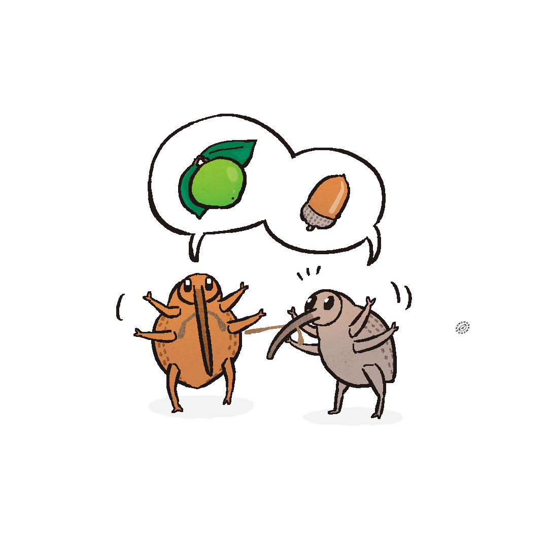 ikimonopd's tweet photo. 🌰✨🍏✨ https://t.co/AuCUaULyov
