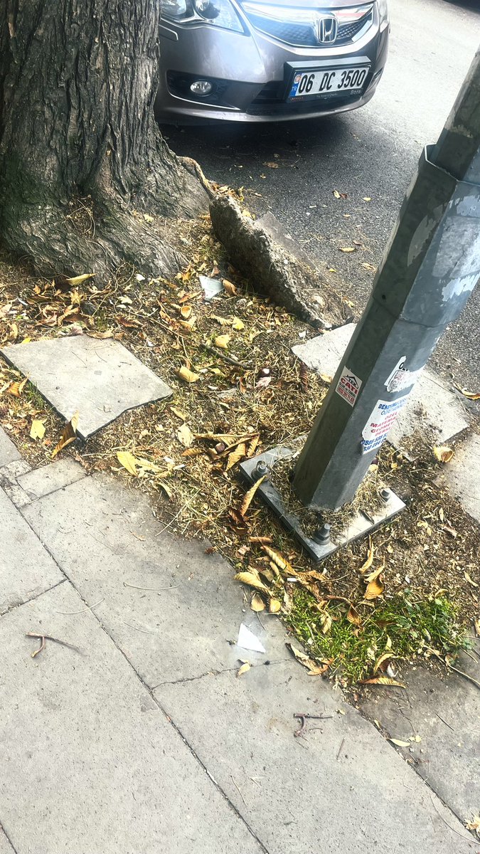 masteryodadkan's tweet photo. @ankarabbld @mavimasa , 7 caddeyi yapıyorsunuz teşekkür ederiz , 1. Cadde 2. Cadde , 3.cadde kaldırım ve ağaç dipleri çöp kaynıyor, kaldırımlarımızın yenileceğini ümit ediyoruz , özellikle 1. Cadde no 34 no 16 kadar çöp kaynıyor https://t.co/aBISA8ysAZ