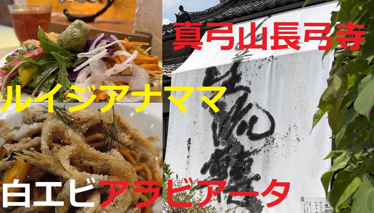 falconergeorge2's tweet photo. YZF-R15で行く！富雄散歩 白エビフリッター激うま 国宝本堂長弓寺 https://t.co/lAqefZnfQT @YouTubeより https://t.co/i1bAdiS2BG