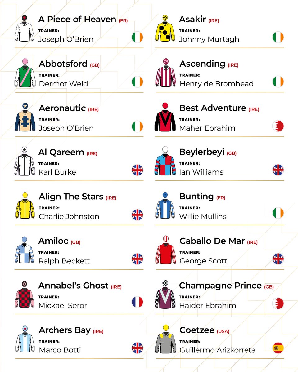 BahrainTurfClub's tweet photo. A high-quality international entry for the new Gulf Of Bahrain Cup!🤩

Mark your calendars 
🗓️ 13 November 2026
💰 $400,000

#Bahrainturfclub #HomeOfTheGroup1 https://t.co/Q1L8rqGBxp