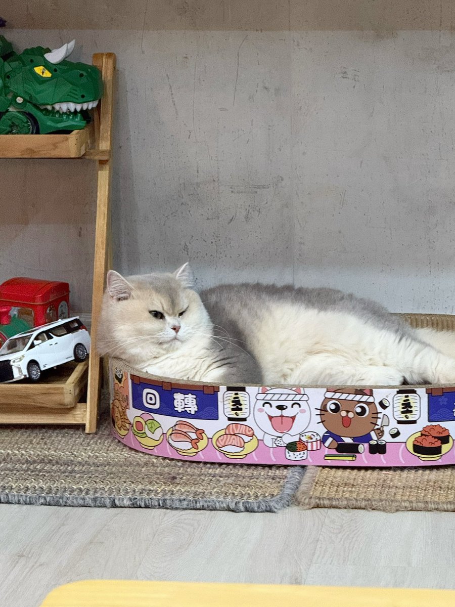 Bonusiie's tweet photo. โมโหจนเหนียงฟู https://t.co/7Rs2cdMVEH