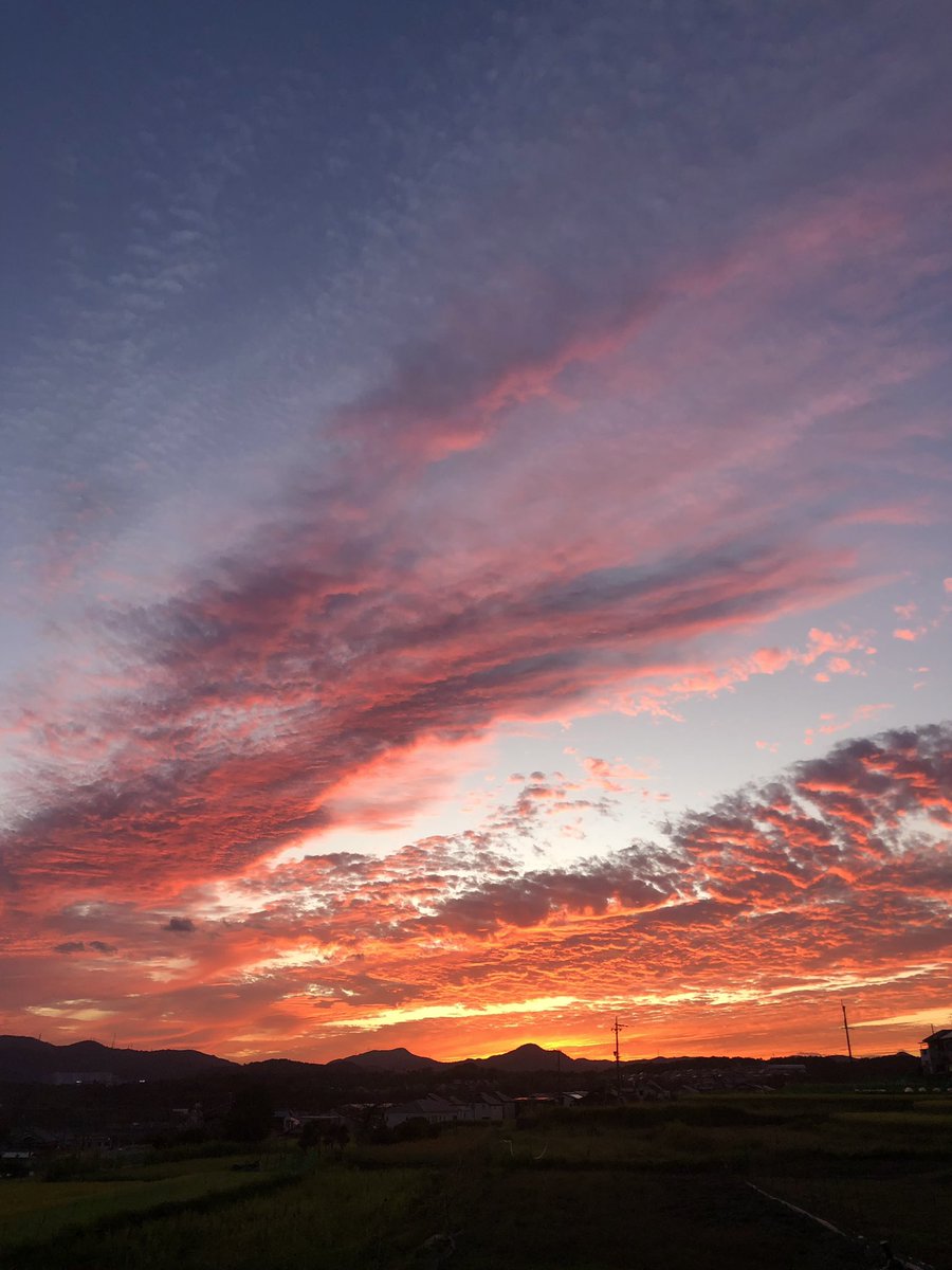 hata_mori's tweet photo. 今日の夕空
#イマソラ #ユウソラ #川西市笹部 https://t.co/abz39MEtmT