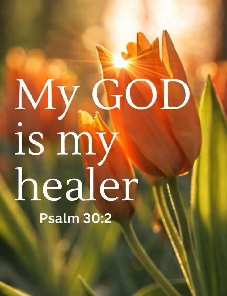 SteveColerick's tweet photo. Happy Friday sweet souls 💙 

"O LORD my God, I cried to you for help, and you restored my health."

[Psalm 30:2] NLT https://t.co/3C93U5U4En
