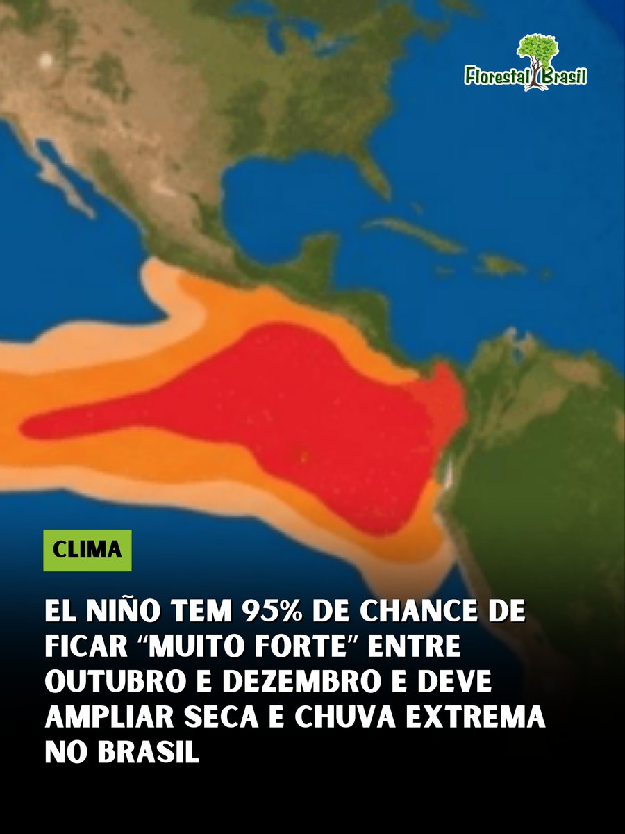 florestalbrasil's tweet photo. O El Niño deve alcançar intensidade “muito forte” entre outubro e dezembro de 2026, segundo o Boletim nº 4 do Painel El Niño, coordenado pelo Inmet em parceria com órgãos federais de monitoramento climático, hidrológico e de desastres.

A probabilidade estimada é de 95%, e o fenômeno deve permanecer ativo pelo menos até o primeiro trimestre de 2027.

No fim de setembro, as anomalias de temperatura no Pacífico Equatorial já ultrapassavam 2°C em áreas centrais e orientais, segundo dados do CPC/NOAA. O boletim aponta que este episódio pode estar entre os mais intensos observados desde 1950.

Os impactos esperados no Brasil são bastante diferentes entre as regiões.

No Centro-Norte, a tendência é de agravamento da seca, temperaturas acima da média e maior risco de incêndios. Dados parciais de setembro mostram que o número de municípios em seca extrema passou de 4 para 24 em apenas um mês, enquanto aqueles em seca severa aumentaram de 153 para 197.

Na Amazônia, no Centro-Oeste e em partes do interior do país, o risco de fogo deve permanecer elevado entre outubro e dezembro.

Já o Sul deve continuar recebendo chuva acima da média, mantendo o risco de cheias e inundações. Volumes elevados já provocaram elevação de rios no Rio Grande do Sul e em Santa Catarina, e o Serviço Geológico do Brasil emitiu mais de 190 boletins de alerta hidrológico na região ao longo de 2026.

O painel reforça, porém, que essas previsões representam tendências sazonais. Um El Niño muito forte aumenta a probabilidade de determinados extremos, mas não determina exatamente quando ou onde cada evento ocorrerá.

O cenário exige atenção simultânea a seca, incêndios, abastecimento de água, agricultura, ondas de calor, chuvas intensas e inundações nos próximos meses.

Fonte: CNN Brasil.

#elniño #clima #seca #incêndiosflorestais #eventosextremos