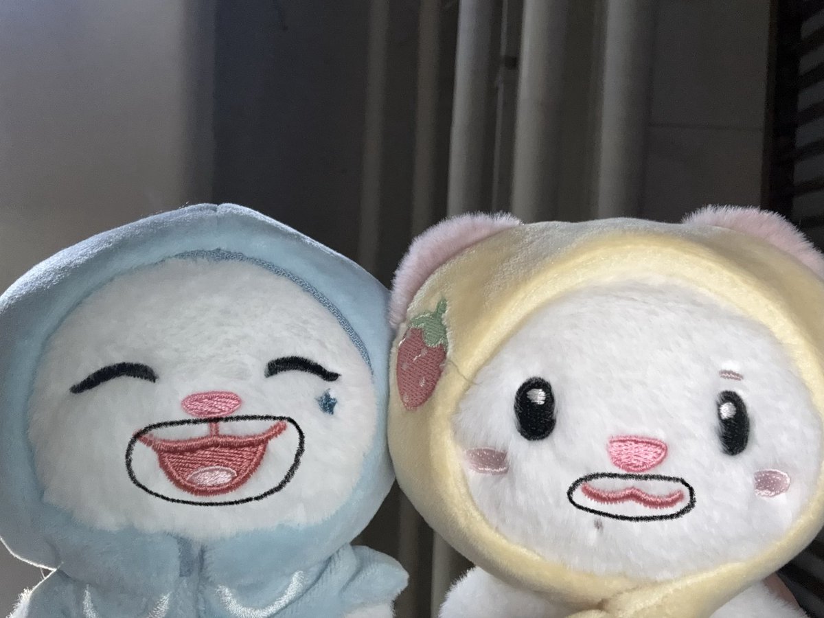 malpooong's tweet photo. 햇모지리 쪽모지리 https://t.co/D67NWRUBf2