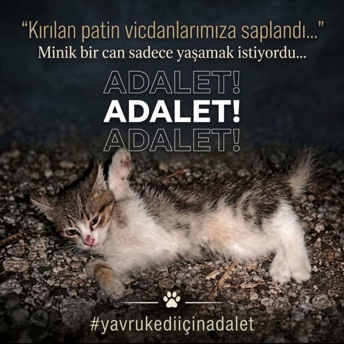 eliftran2's tweet photo. ‼️MİNİĞİ UNUTMA‼️ARKADAŞLAR HEP BERABER ‼️@abakingurlek @adalet_bakanlik @AYMBASKANLIGI @EmniyetGM @istanbul_EGM @EmniyetAnkara ‼️ETİKETLEYİN YORUMLARA TEKRAR PAYLAŞIN SESİMİZİ DAHA KUVVVETLİ DUYURALIM HADİ‼️
#minikiçinadalet #miniğiunutma #SONDAKİKA #keşfet #soma #fypシ゚viral https://t.co/sUu8QQ1s08