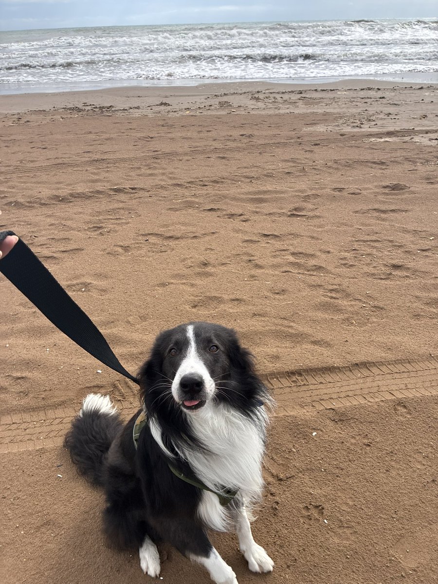 magicbeibi's tweet photo. Y conoció el mar https://t.co/blcvzOG3Kg