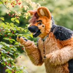 Photo by Lenny the Shepdoggo🐾 (@SDoggo97)