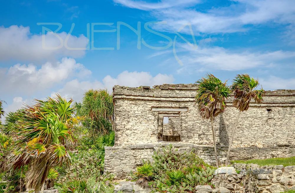 Janessaus0a's tweet photo. Playa de Tulum al atardecer: arena suave, agua turquesa y un atardecer que pinta el cielo de rosa. Cada momento aquí se siente como un sueo. Ya quiero volver! https://t.co/kEvlQ6JenR