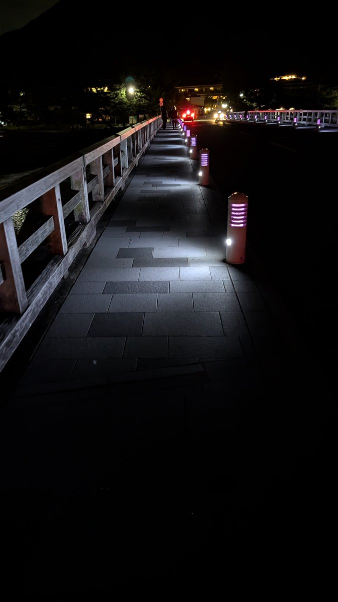 Tehepero1abcba2's tweet photo. また夜の🌃渡月橋渡って帰ります
#渡月橋 https://t.co/bSmeBAvRwt