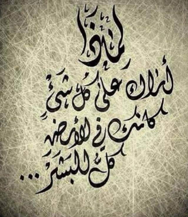 KhaledSwels4's tweet photo. عِنْدَمَا تَفْهَمَ مَا بَيْنَ السُّطُورِ تَزْدَادُ لَدَيْكَ الْفِطْنَة:

#khaled swelam 💚 https://t.co/JPAukbuZU7