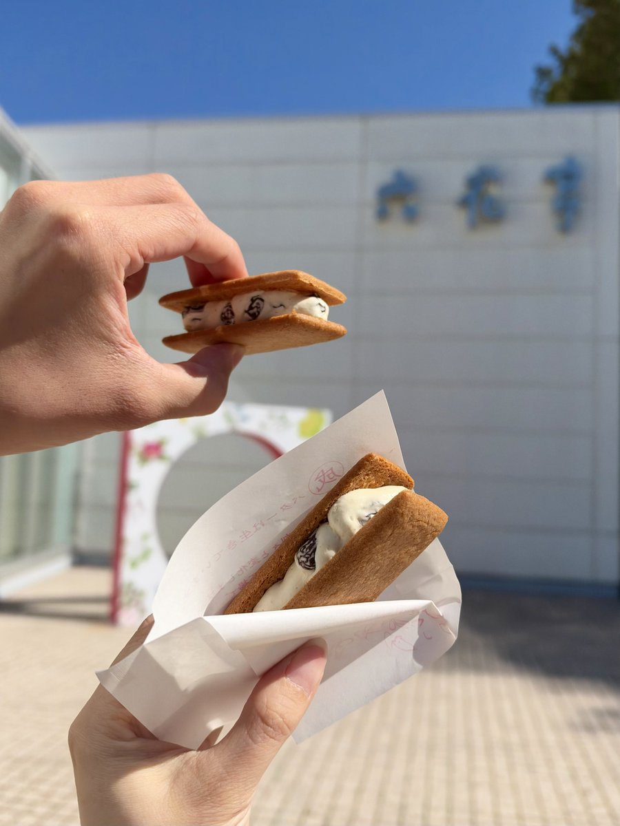 hi36987's tweet photo. 帯広行ったときに食べた六花亭の
できたてマルセイバターサンドが美味しすぎた
毎日食べたいけど売ってるの1店舗のみらしい…… https://t.co/lHGTjbvu1k