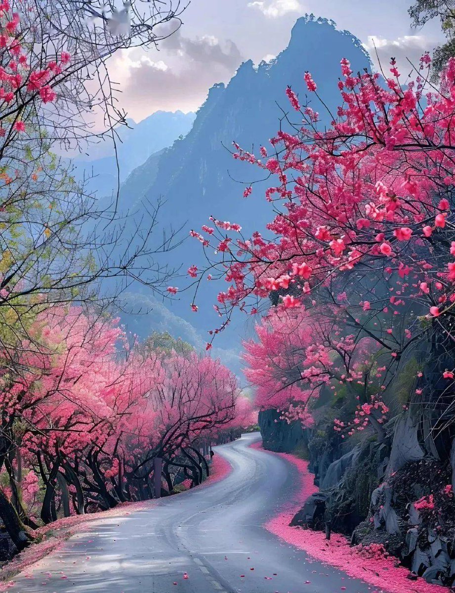 NancyHarpeybud's tweet photo. Went to a hidden valley, and the wild scenery here is so pleasant that I just can't help but linger. https://t.co/kXjjv3S4lE
