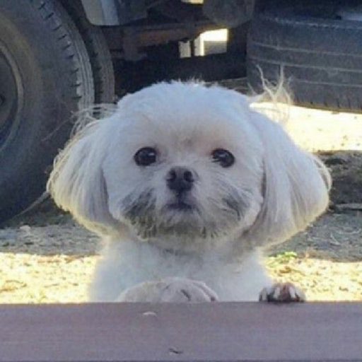 leehaniez's tweet photo. https://t.co/zJTkoZ5aHj