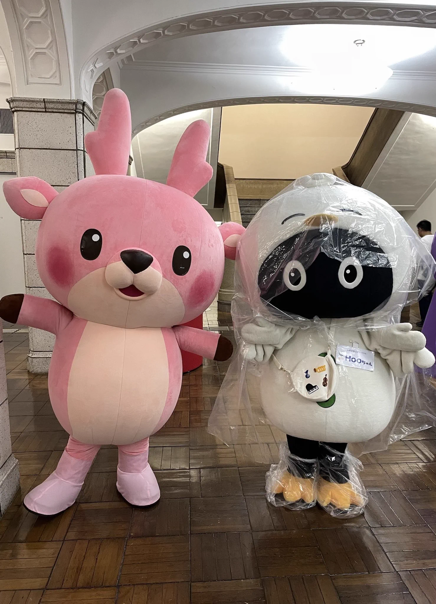 がおちゃんページ２ Hooちゃん🐤🎶【山野楽器公式キャラクター】 on X: 
