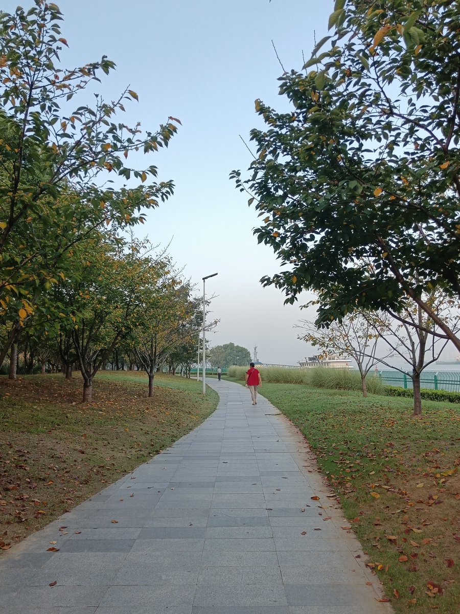 Lianeejo's tweet photo. Cuida tu salud con 30 minutos de caminata diaria y bebe 2 litros de agua al día – pequeos pasos para grandes cambios. https://t.co/nlRdFXDRBr