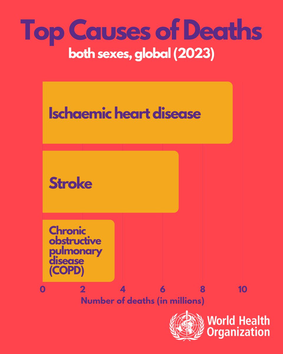 WHO's tweet photo. What is the world’s biggest killer?
It's ischaemic heart disease, responsible for 16% of the world’s total deaths - that is equal to 9.5 million deaths in 2023.

Stroke and chronic obstructive pulmonary disease were the second and third leading causes of deaths in 2023, responsible for approximately 11% (6.8 million) and 6% (3.6 million) of total deaths, respectively.
 
💔 Ischaemic heart disease is a condition where the heart muscle receives less blood flow and oxygen because the coronary arteries are narrowed or blocked.
 
🧠 Stroke is a medical emergency that occurs when blood flow to the brain is interrupted, either due to a blockage or bleeding.
 
🫁 Chronic obstructive pulmonary disease (COPD) is a common lung disease causing restricted airflow and breathing problems. It is sometimes called emphysema or chronic bronchitis.
 
New global health estimates https://t.co/MQhHd5X48V