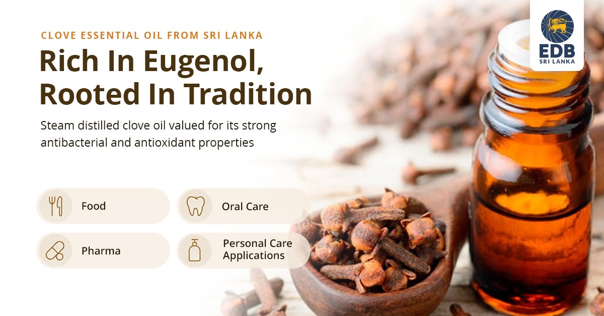 EDB_SriLanka's tweet photo. Sri Lankan clove oil powers food, pharma and personal care products worldwide. 🌿

Learn more 👉  https://t.co/iZZuGvnwFL
#CloveEssentialOil #EssentialOils #SriLankaSpices #Eugenol #SriLankaExports #ClovesSriLanka https://t.co/WdQcz6Eho8