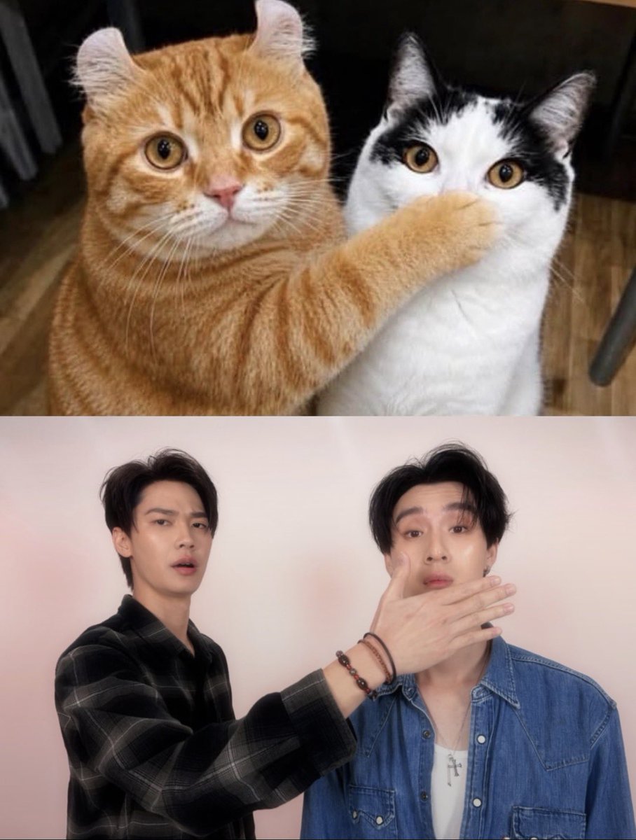 tsutiramisu's tweet photo. ทุกคนเงียบ ผมขอกรี้ด😭😭😭😭😭😭

#dewtee 
#dew_jsu #tee_vtp #EFM https://t.co/TFPWeLCEsn