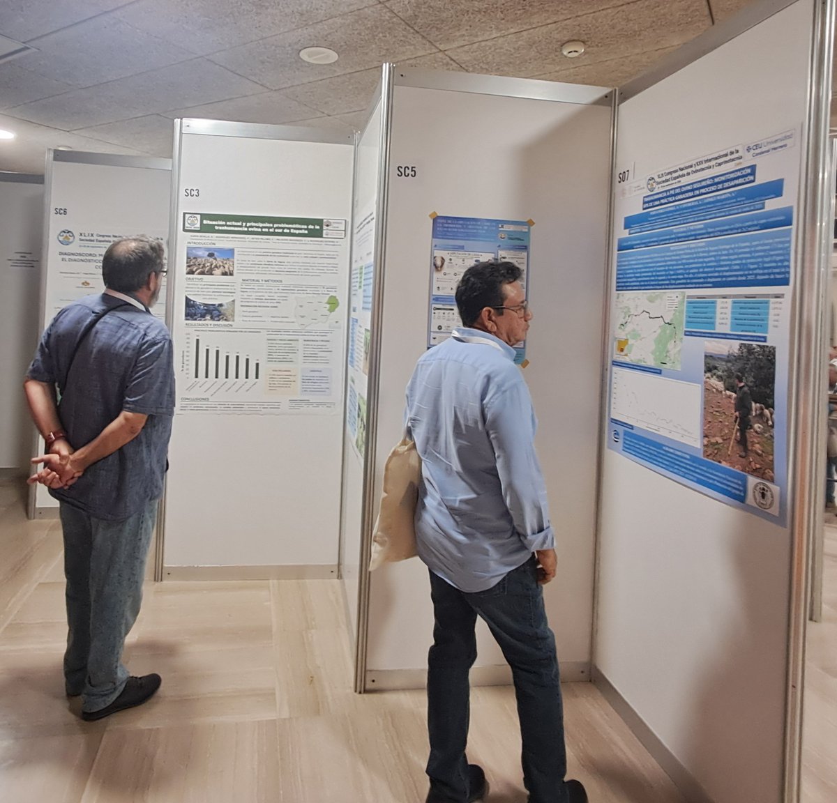 CienciaUCHCEU's tweet photo. En el Congreso de la Soc de Ovinotecnia y Caprinotecnia @SEOCSpain se han presentado 2 estudios de evolución, impacto y monitorización de la #trashumancia ovina tradicional, liderados por @UMU y @uchceu, con el patrocinio del programa RSC de @CevaSanteAnimal
En @animalshealthes👇 https://t.co/YBZ42R83Cf