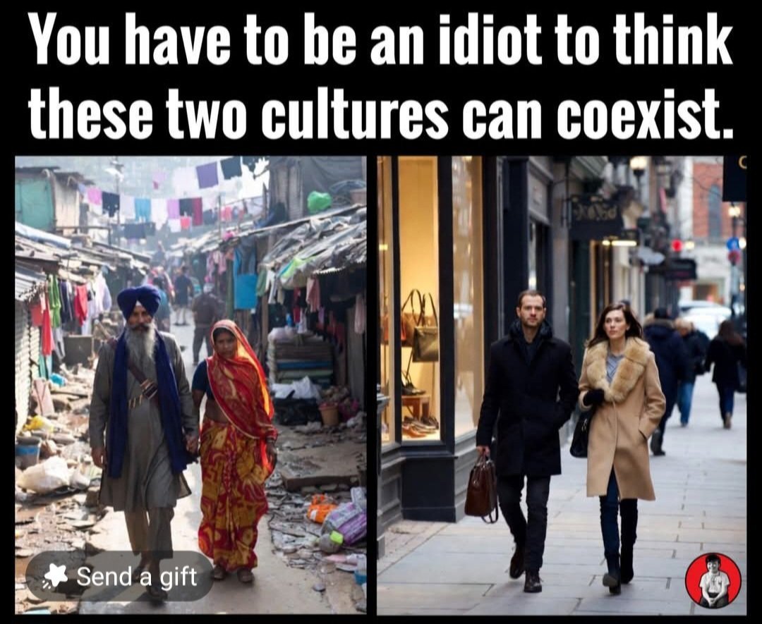 Vites352195's tweet photo. @DarylMa61153184 @Miley__Joy Very much so. 
By the way, who is dressed like Omar never arrived in the western civilization.
When does america wake up and ban islam?
The whole problem is caused by sick, woke liberals like AOC, Bernie, Omar, ...! https://t.co/OCfqxvOSTM