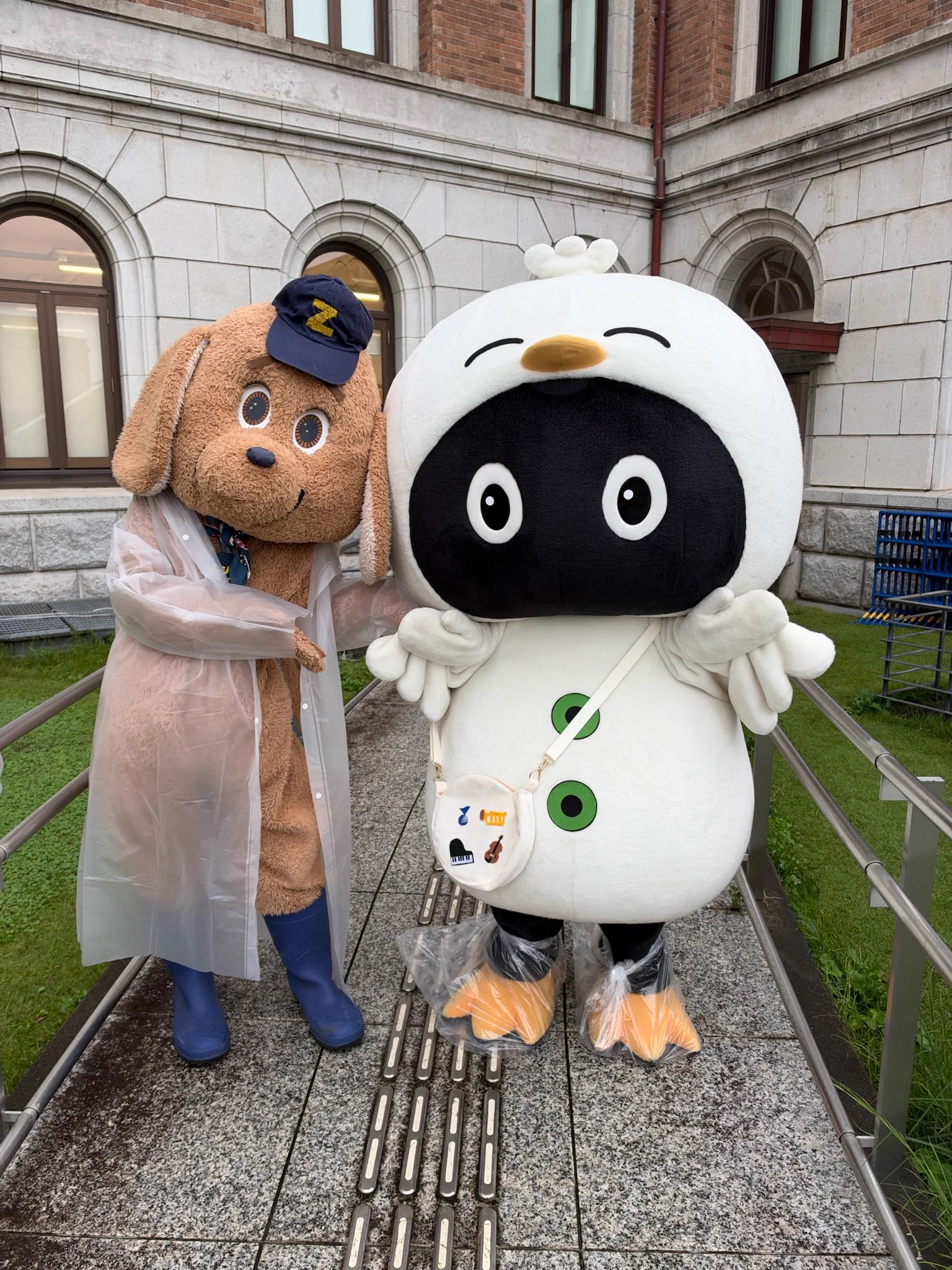 X-এ Hooちゃん🐤🎶【山野楽器公式キャラクター】: 