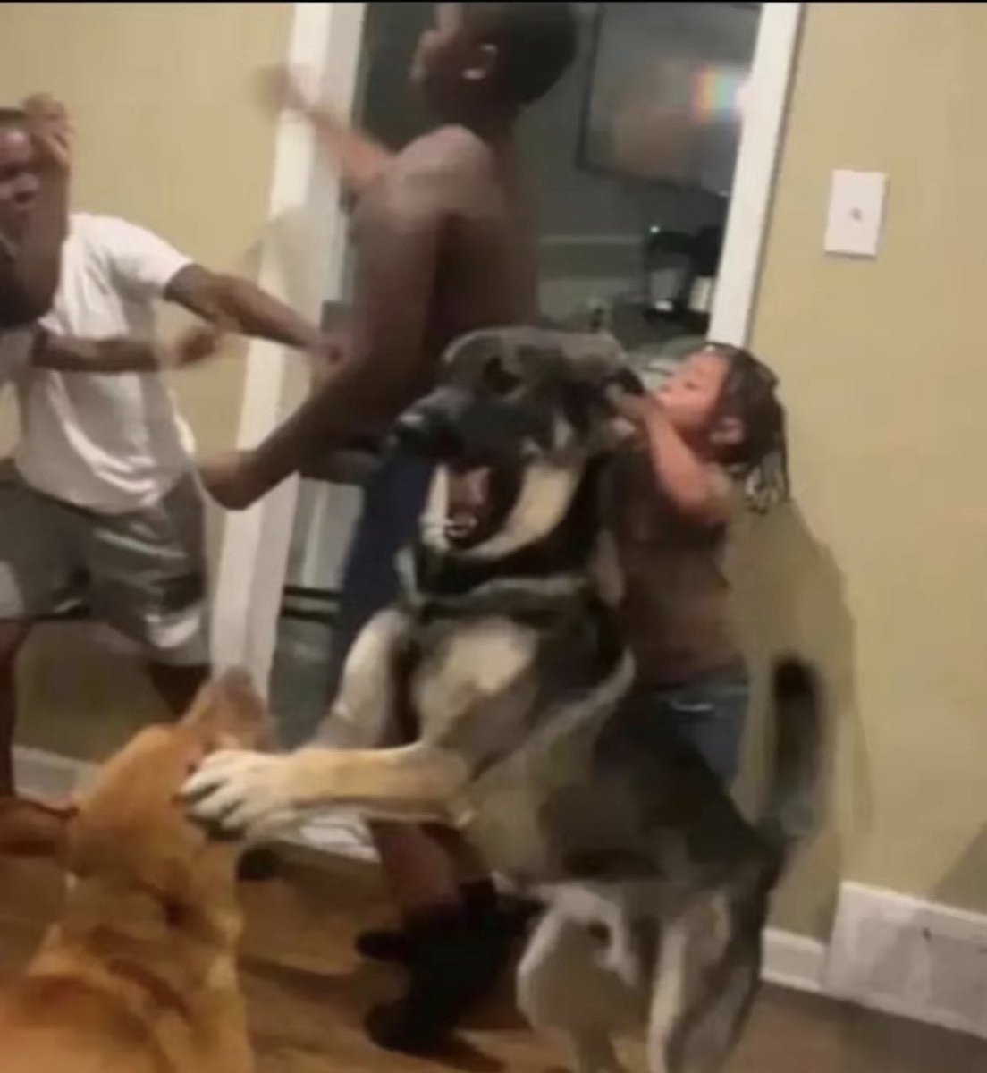 pinketine's tweet photo. Black people when you question the ethics of beating a 6 year old https://t.co/yWmcFOmWUq