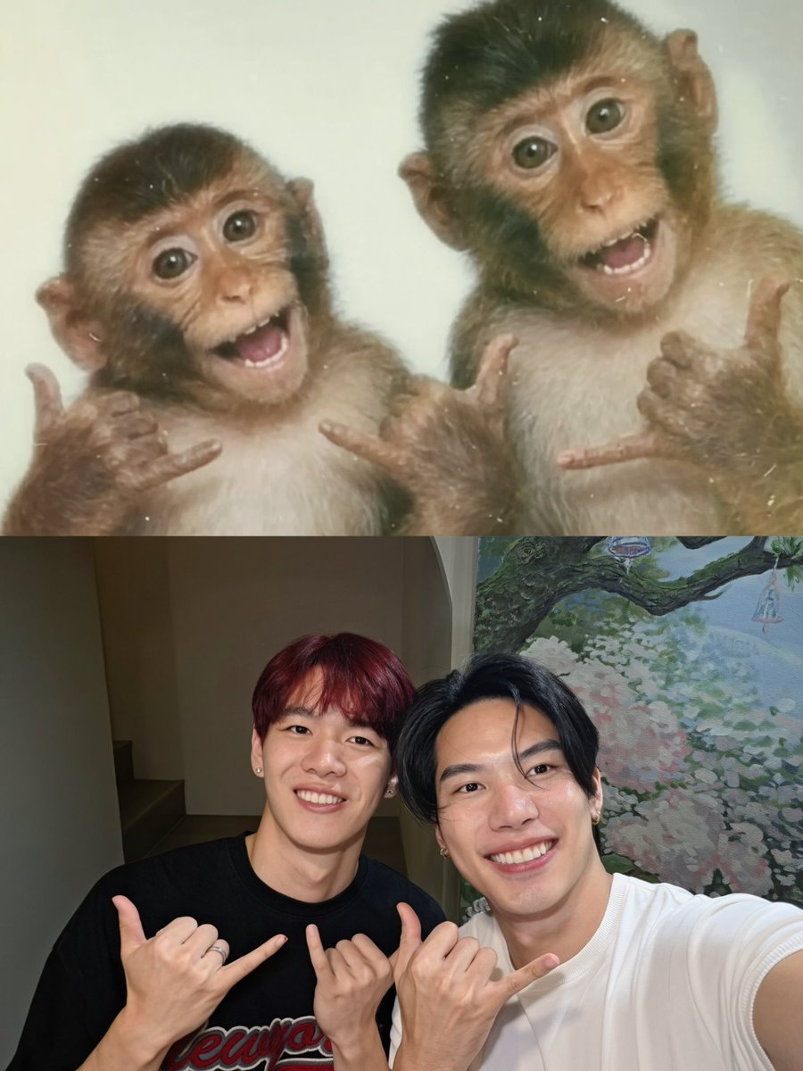 saeptheseries's tweet photo. คนหนึ่งตกใจ อีกคนตกหลุมรัก  🐵  #saeponthebeach #saeptheseries #maxiiin_  #yiiigao_ https://t.co/W3tq1WBgnP