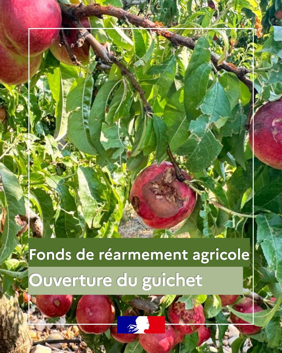 Image de Préfète de la Drôme - Fonds de réarmement agricole : 1,605 M€ mobilisés pour les exploitations de la Drôme
La Drôme bénéf