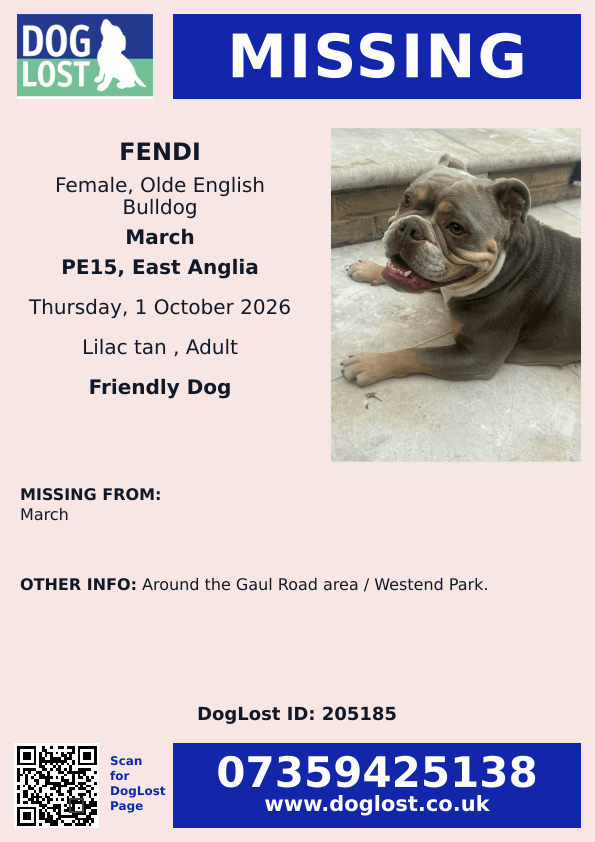 millypod1's tweet photo. 🆘1 OCT 2026 #Lost Fendi #ScanMe
Olde English Bulldog Female
Gaul Road area / Westend Park.
#March #Cambridgeshire #PE15 
https://t.co/Tshpj0e6l0 https://t.co/vtJmvfRJjK