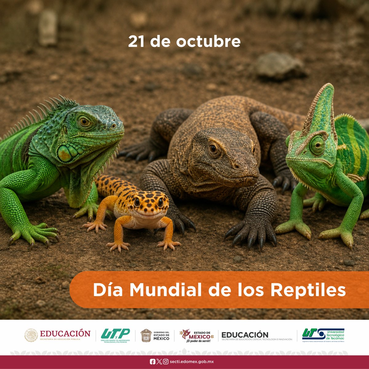 UTTECoficial's tweet photo. 🦎 21 de octubre | Día Mundial de los Reptiles 🌿
No son villanos, son piezas clave del equilibrio natural. #Reptiles #Biodiversidad #OrgulloUTTEC https://t.co/FeqOI10Va6