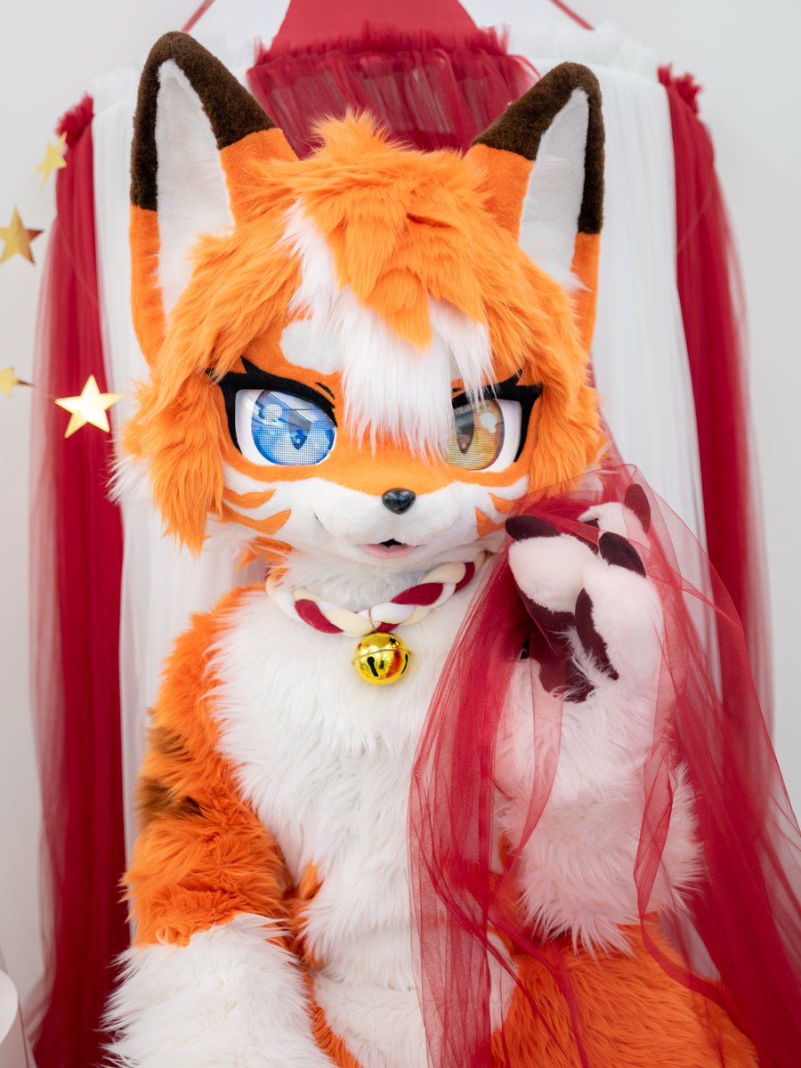Tsuna_9H's tweet photo. 당신만을 위한 공연을 시작할게요❤️
#FursuitEveryday #Fursuit https://t.co/cnWSkZEbkh