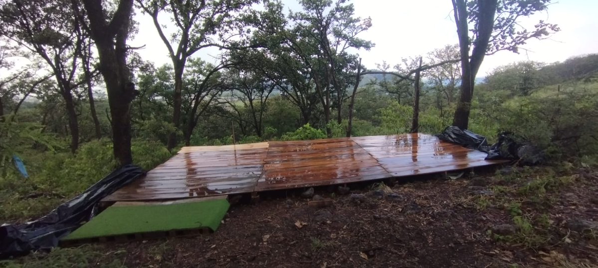 bosquenixticuil's tweet photo. ¿Se acuerdan del negocio whitexican de NamiN yoga clausurado por poner su negocio en el área protegida? se mudaron al centro del Nixticuil: talaron, pusieron cámaras y hasta meten una van para transportar a sus clientes. @InspZapopan fue notificado y no han hecho nada hasta hoy. https://t.co/RfJihlOuQk