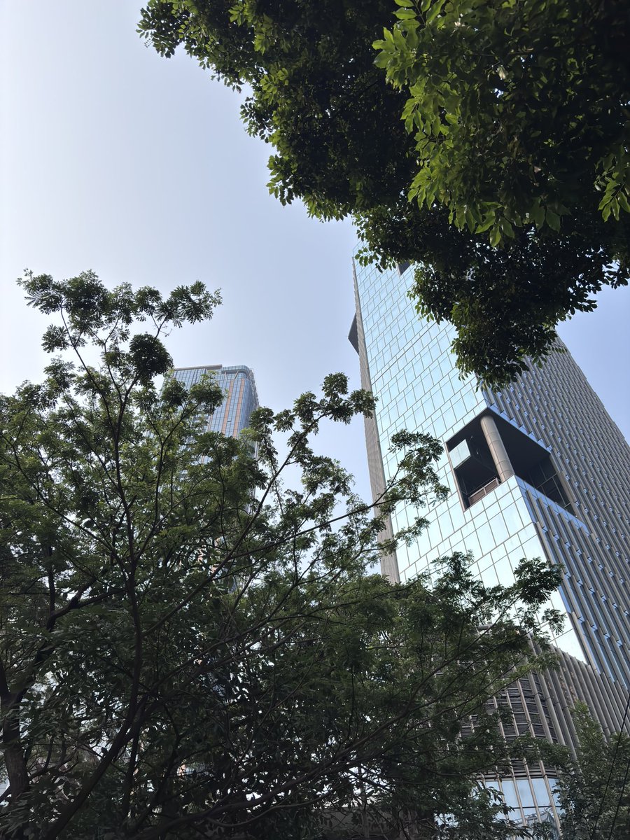 jimanjuu's tweet photo. One fine day https://t.co/uQX0VfBTeZ