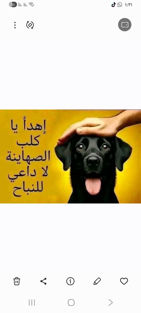 waelntug's tweet photo. @ehmd_77 https://t.co/WPXZDn7KoB