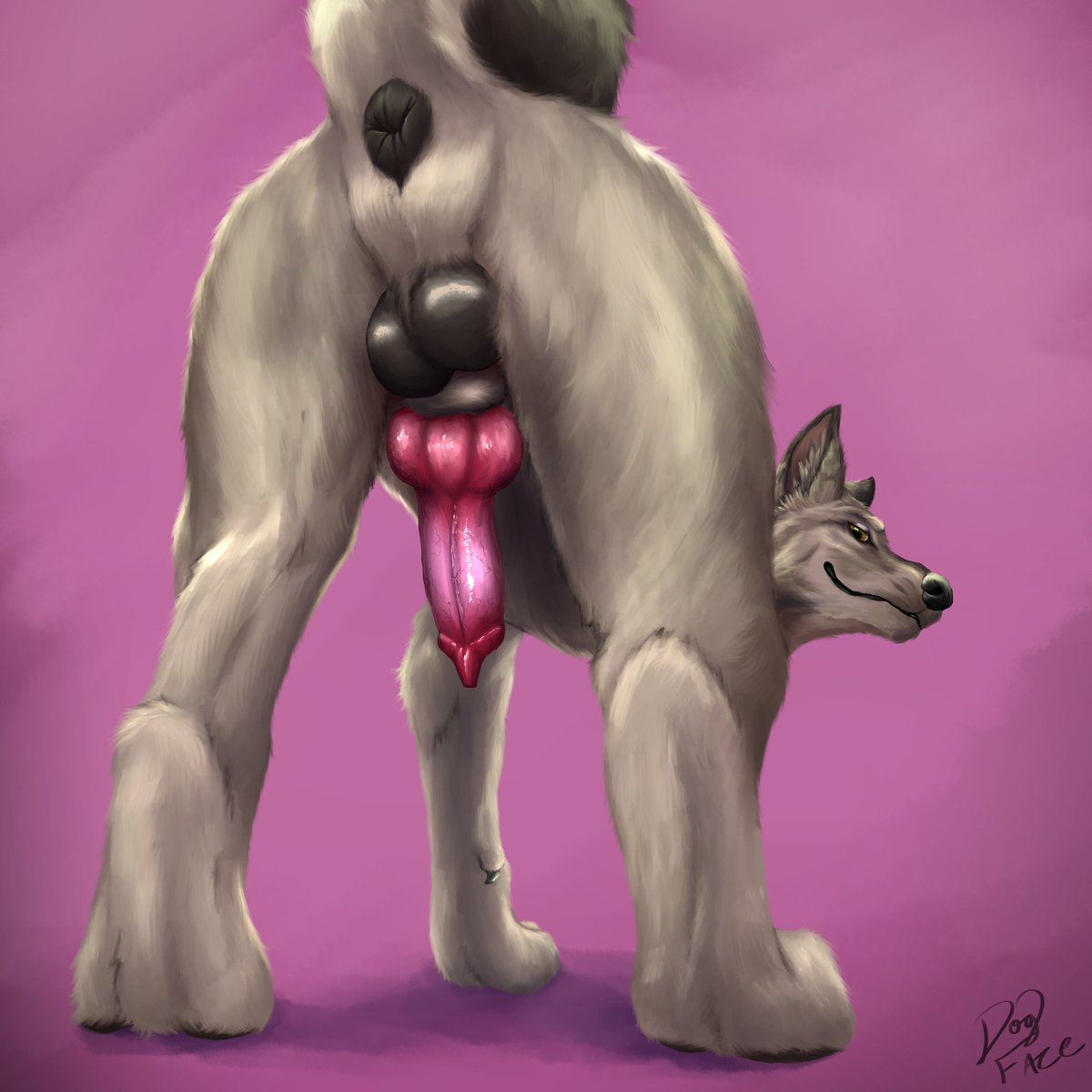 Doggoface's tweet photo. Take a gooooood look

cm for @ScruffyCanine https://t.co/YQm8MSOhev