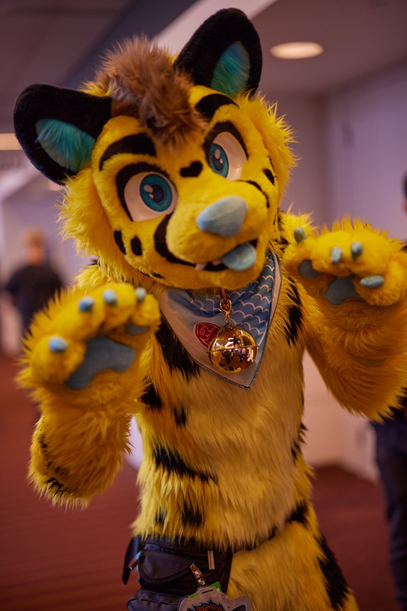 FaoTheChee's tweet photo. Birfday cat!!🥳 https://t.co/iBUDwAxSlA
