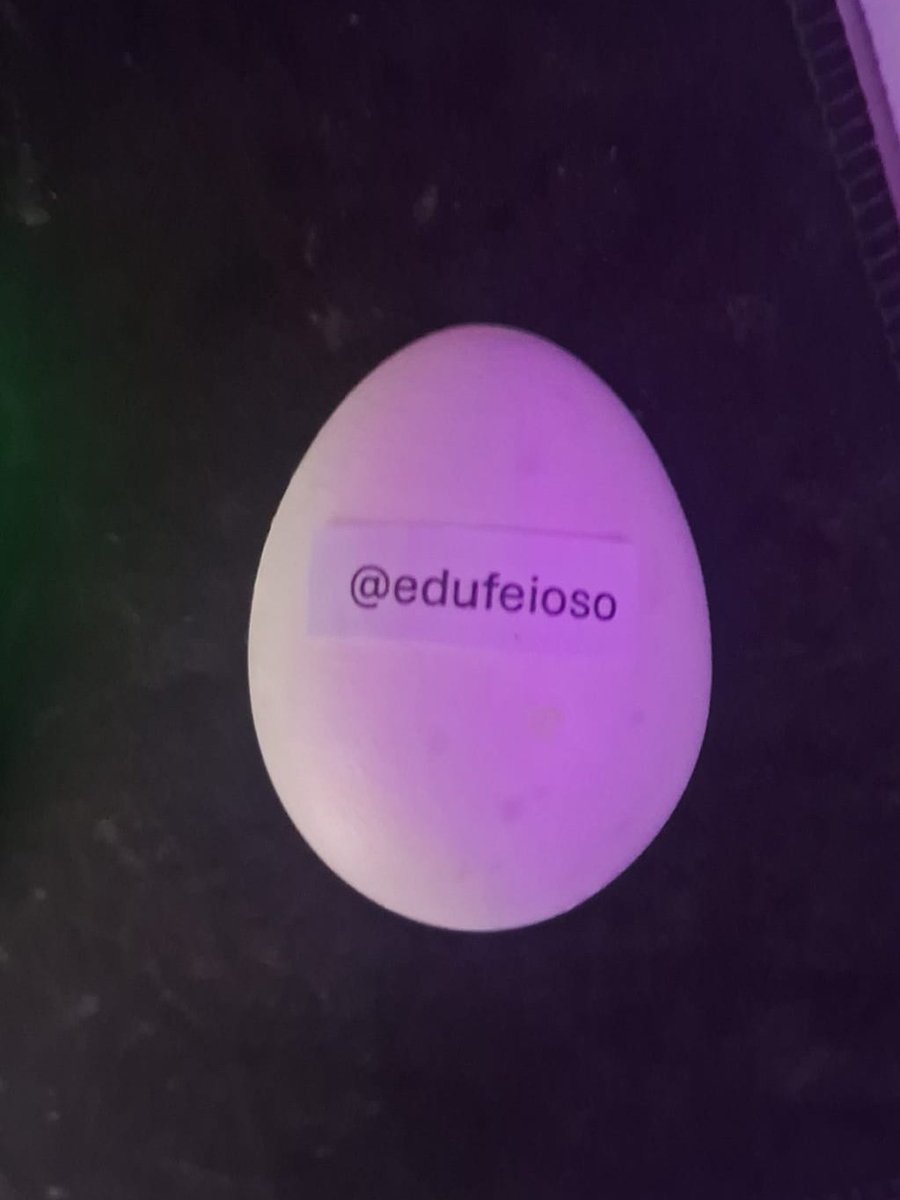 Usuovo's tweet photo. @edufeioso thanks for the follow! https://t.co/fIeb8nwQwJ